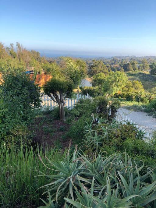 30 Pct Off!! Limited Time! Malibu Charming Getaway With King Bed, Near Beach Zewnętrze zdjęcie